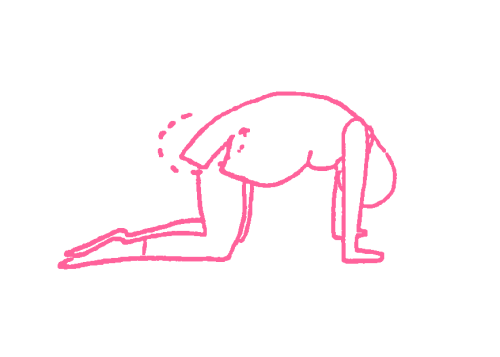 Круговые вращения бедрами на четвереньках (1-3 мин). Упражнение Кундалини Йоги картинка