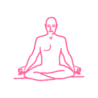 Трансцендентальная медитация. Маха Шакти Чални Индра Мудра. Вариант 1