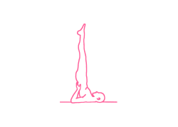 Переход из стойки на плечах в позу плуга и обратно (3-5 мин + 4 раза). Упражнение Кундалини Йоги 1 картинка